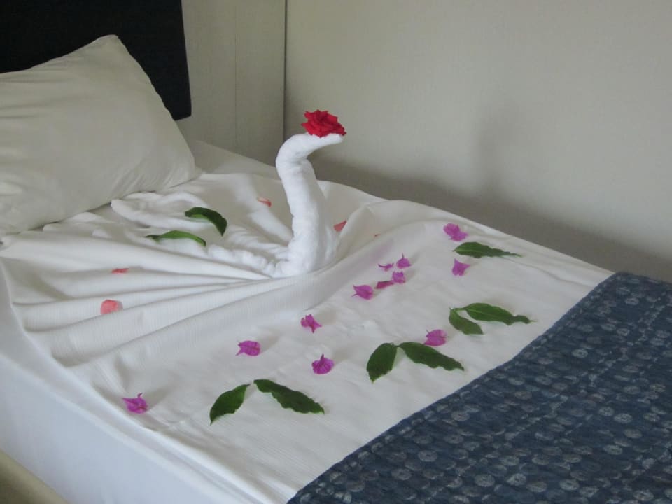 Mein lieber Schwan Club Grand Side