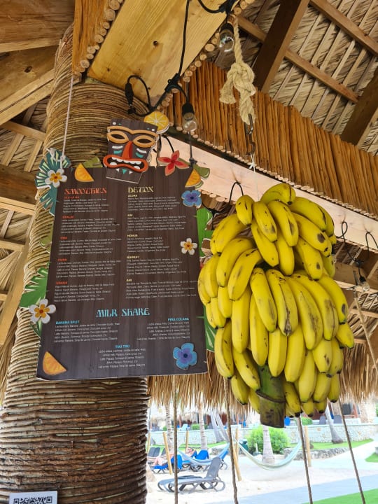 Sonstiges Hotel Viva Dominicus Beach by Wyndham - All Inclusive Resort