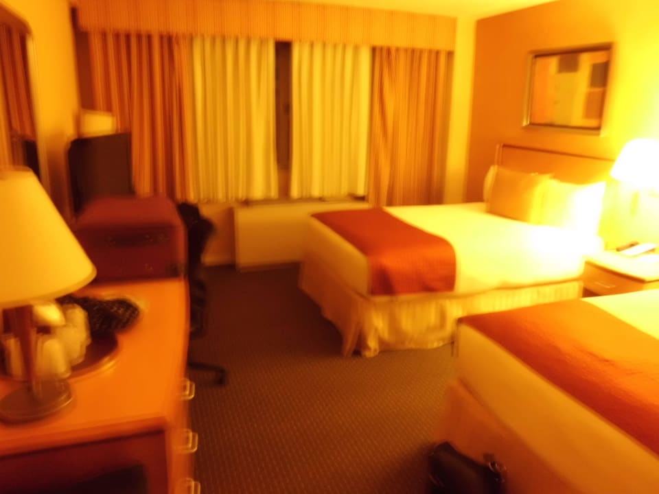 Doppelzimmer The Skyline Hotel New York