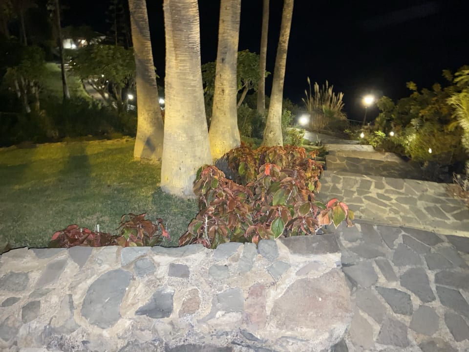 Gartenanlage Hotel Jardin Tecina