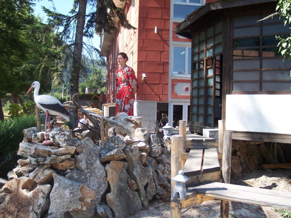 Japanese garden Hotel Balneo Complex & Spa Aquatonik