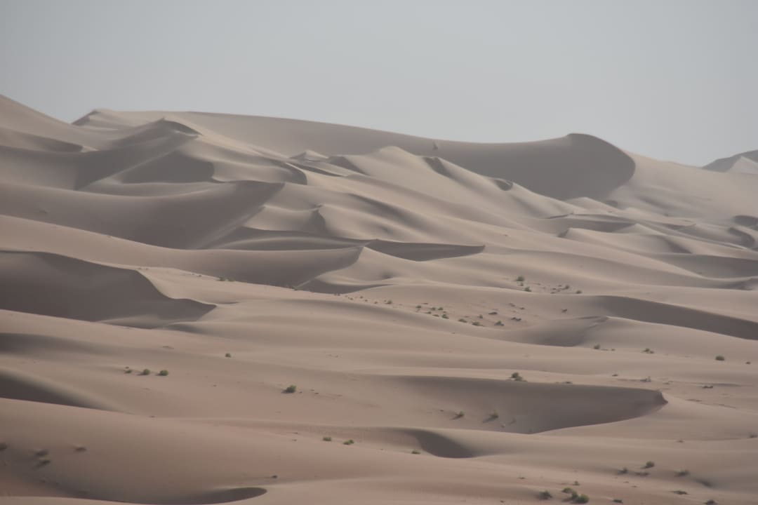 Ausblick Qasr Al Sarab Desert Resort by Anantara