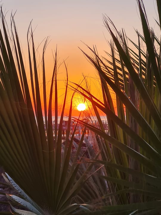 Ausblick Club Dizalya