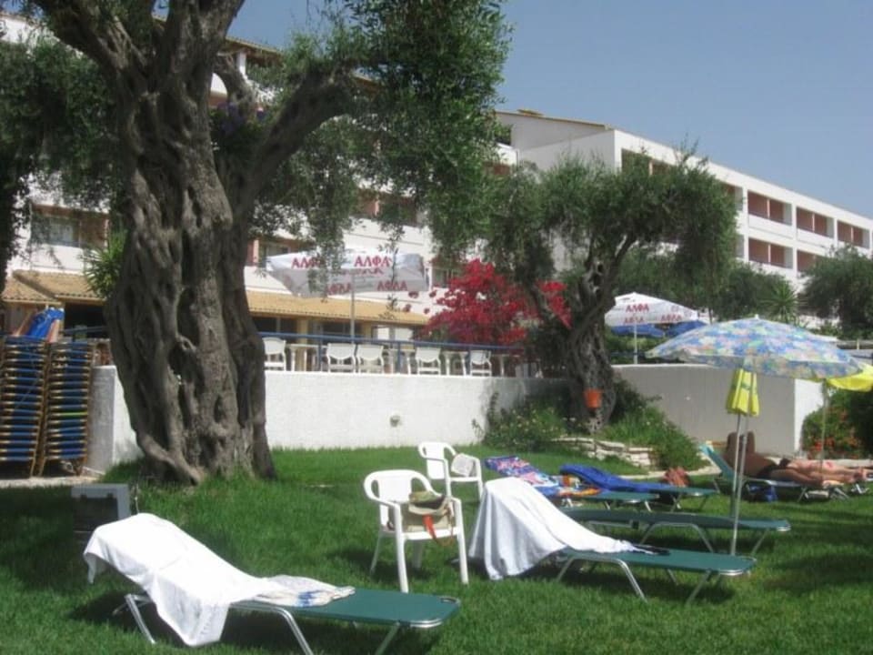 Gartenanlage mit Hotel Elea Beach Hotel