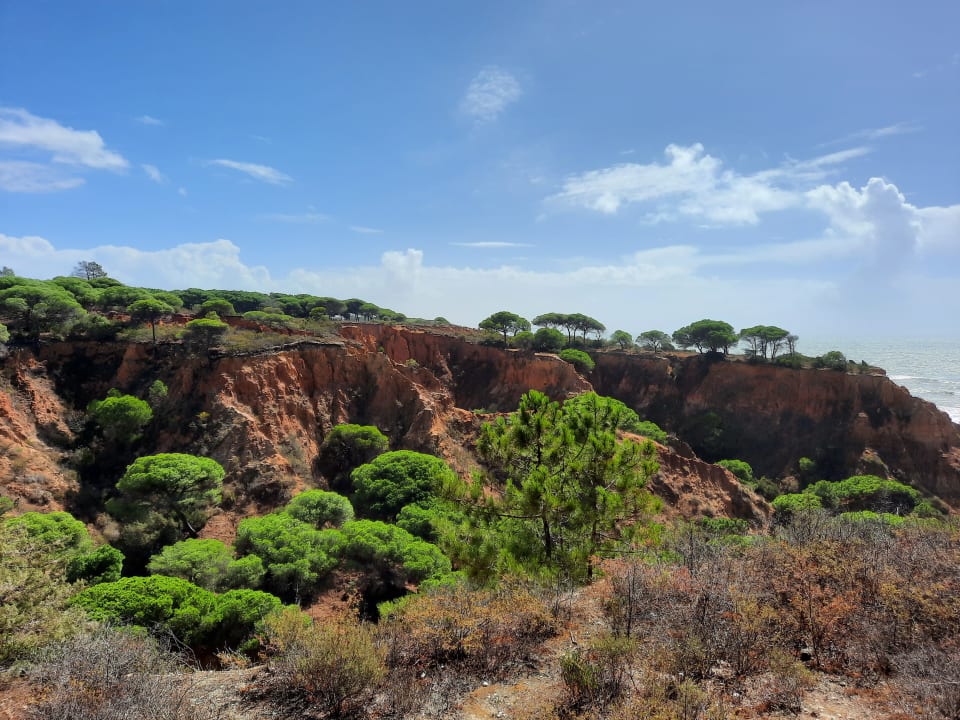 Ausblick PortoBay Falésia
