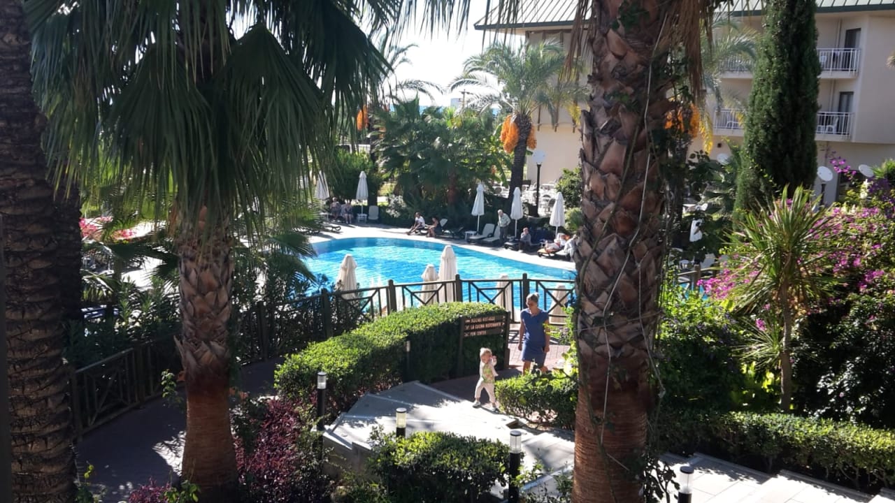 Pool Hotel Novum Garden Side