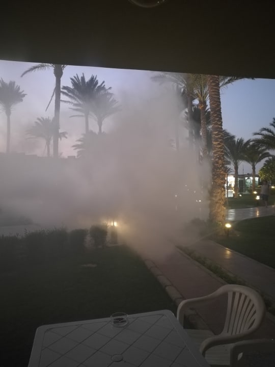 Sonstiges Palm Beach Resort