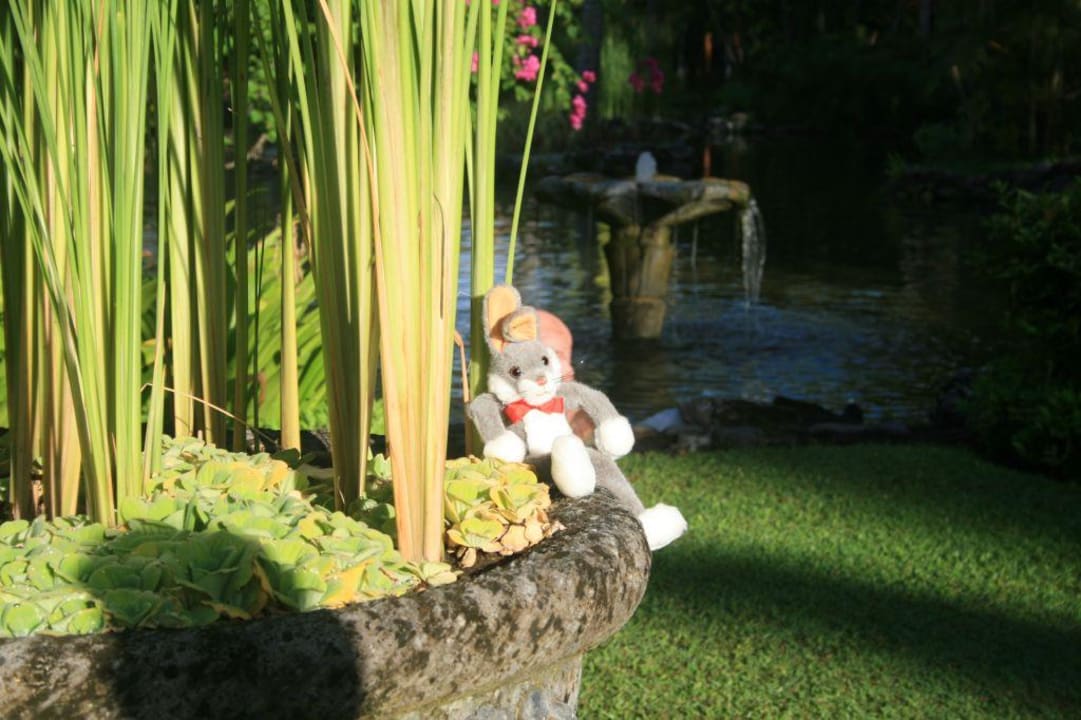 Auf Reisen Paradisus by Melia Bali