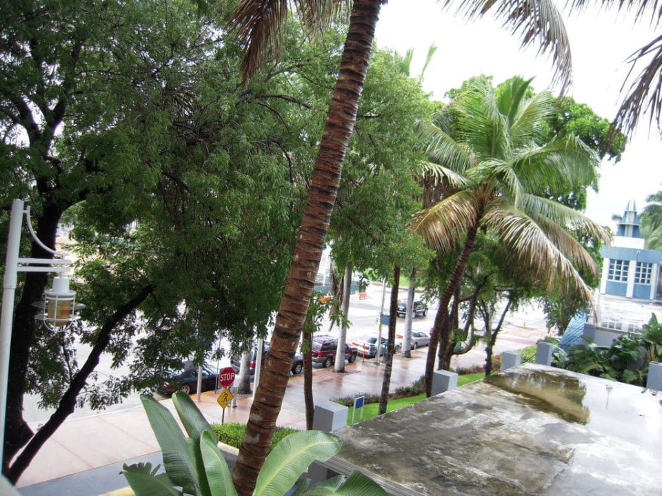 Zur Washington Ave Hotel Greenview South Beach