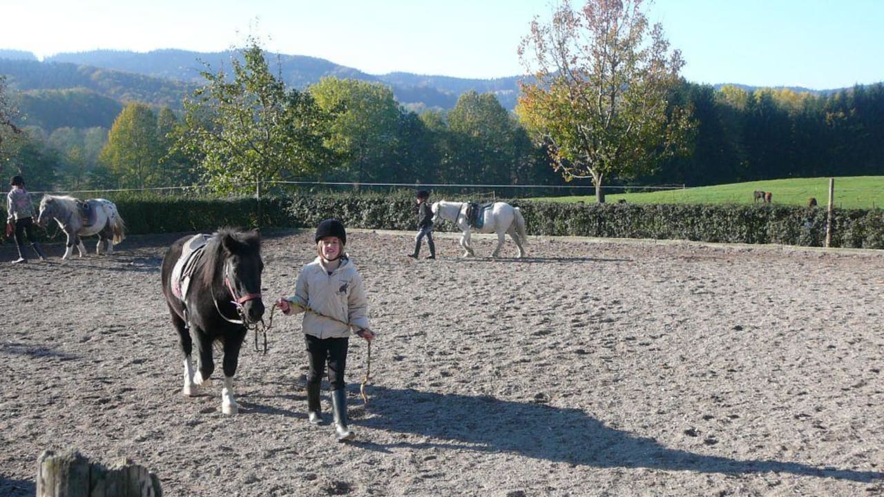 Reitplatz Hotel Reiterhof Pichler und Nebenhäuser