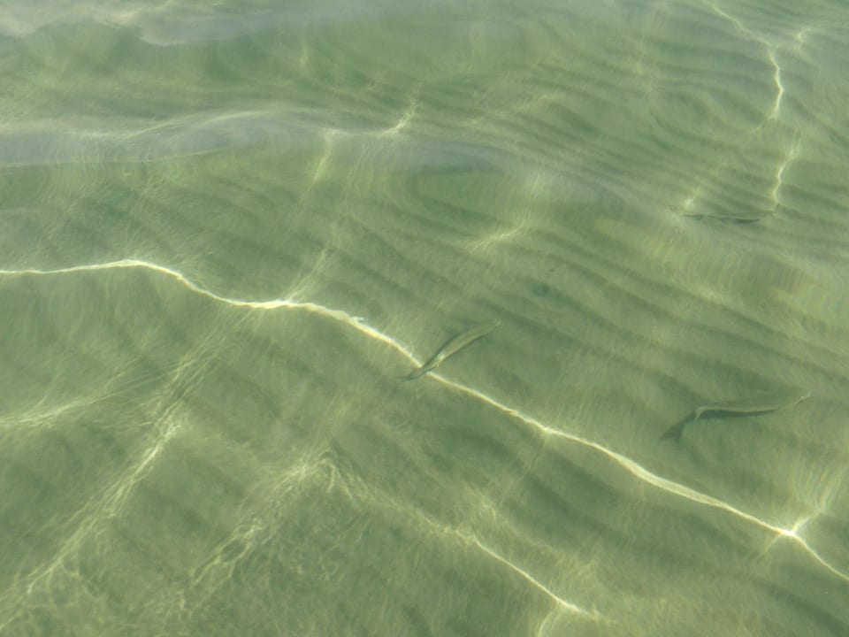 Keine Wellen Hotel Albatros