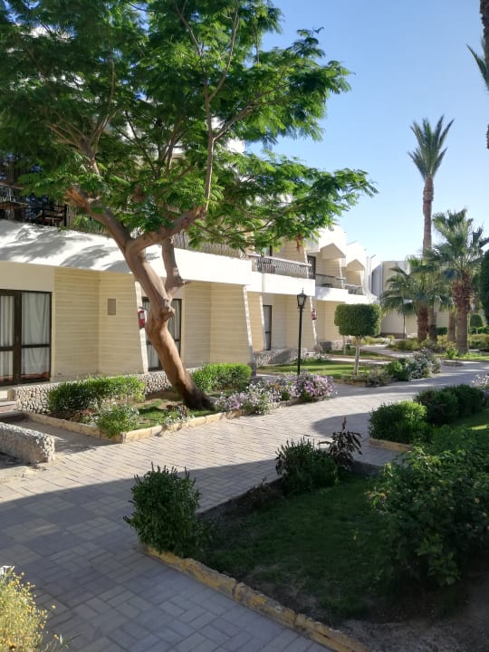 Gartenanlage Regina Resort and Aqua Park Hurghada
