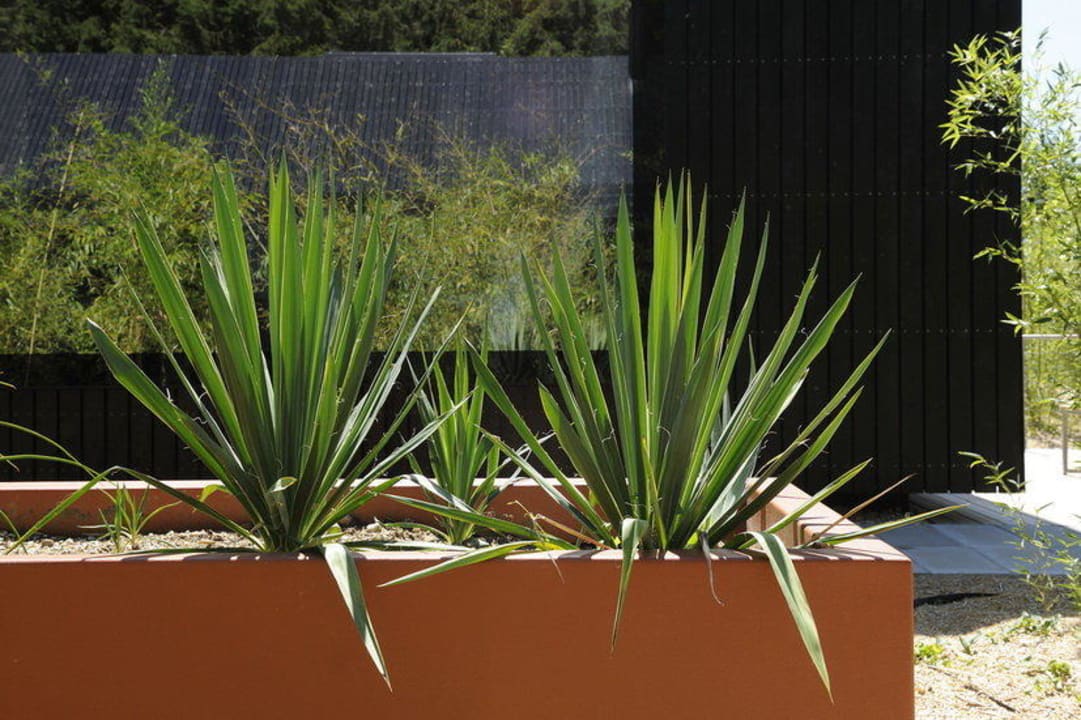 Haus am Feld Hofgut Hafnerleiten