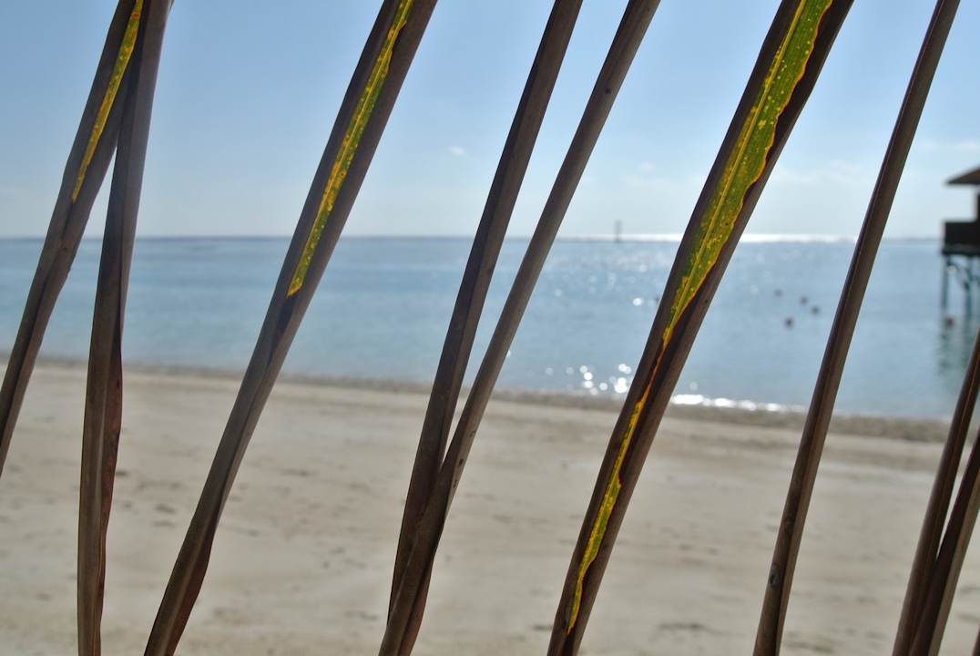 Nehmt genug Speicherkarten mit. Meeru Maldives Resort Island