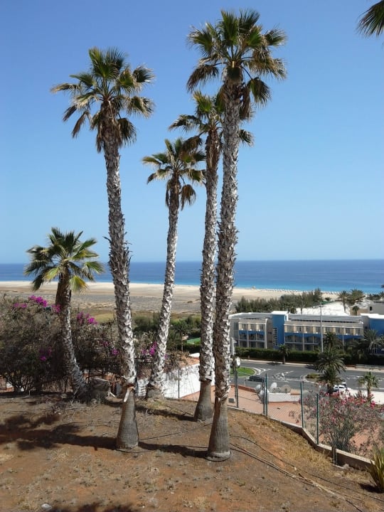 Zimmer 822 Servatur Alameda de Jandía