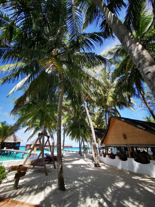 Gartenanlage Thulhagiri Island Resort