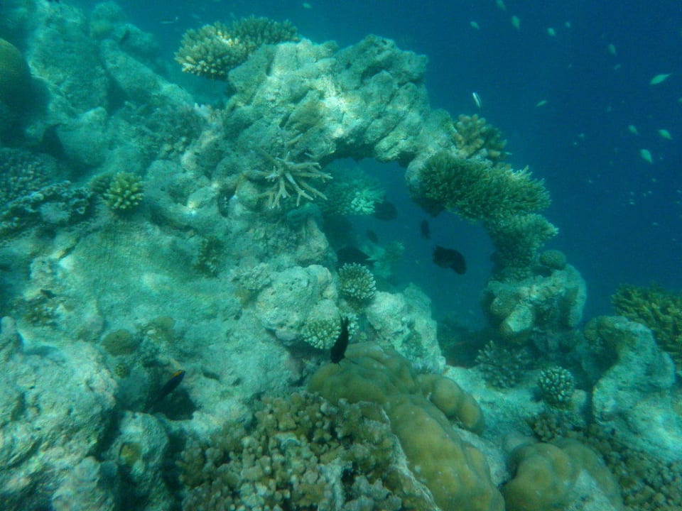Am Hausriff Sun Siyam Olhuveli