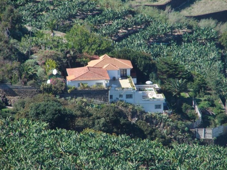 Finca El Rincón inmitten von Bananenplantagen Finca El Rincon