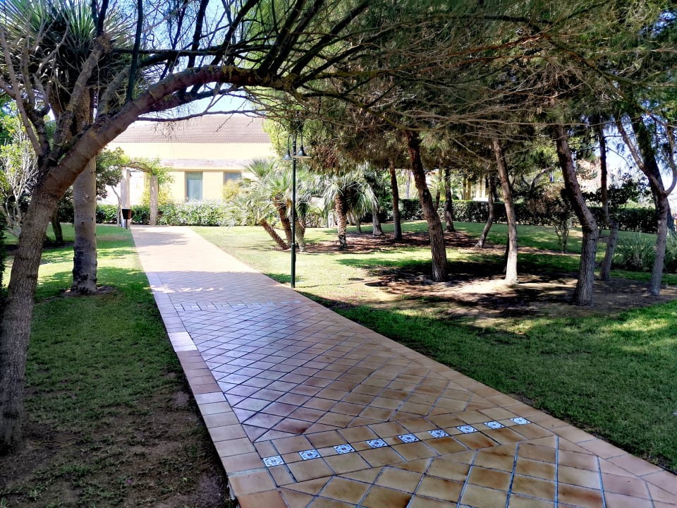 Gartenanlage Zafiro Mallorca