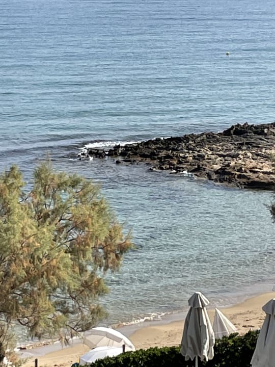 Ausblick Alexander Beach Hotel & Village Resort