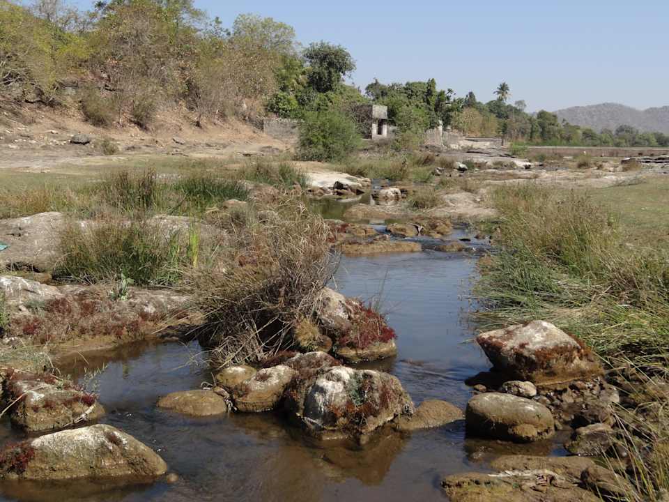 Ausblick auf den Fluss Hotel Lion Safari Camp