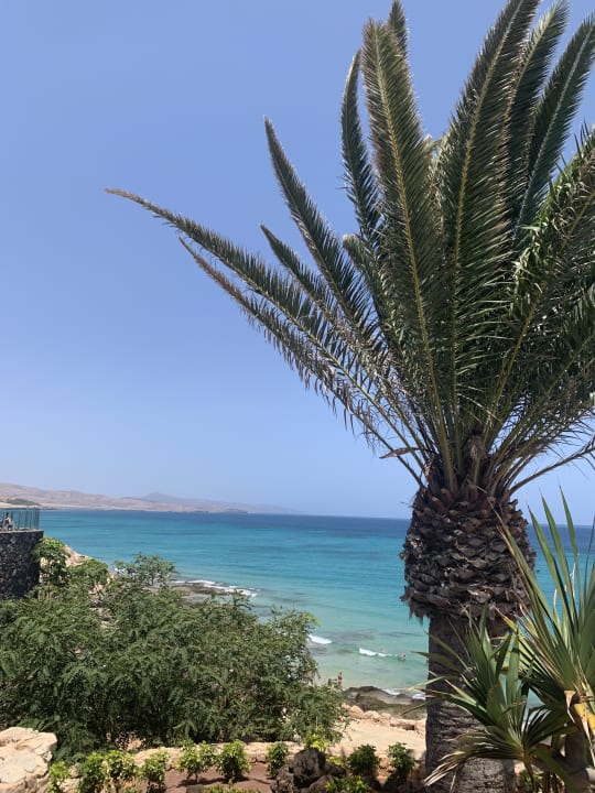 Ausblick R2 Pajara Beach