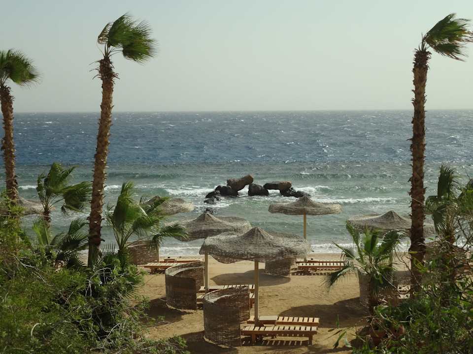 2 пляж Pickalbatros Citadel Resort