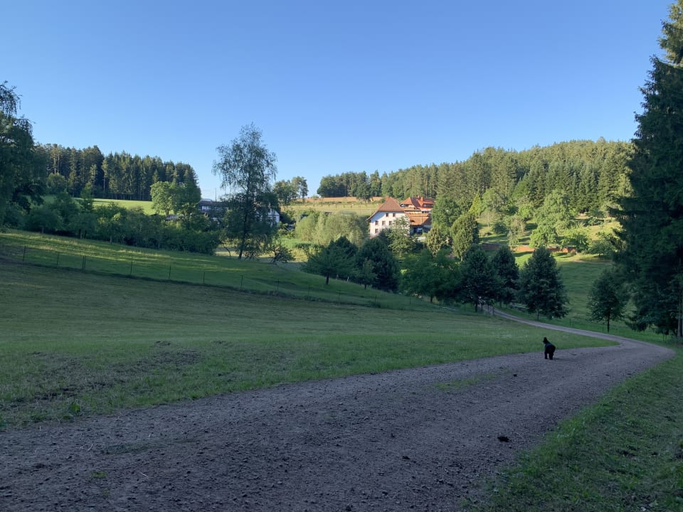 "Der Linke Hof Ist Es :-)" S'Fleckli Bioland Ferienbauernhof (Elzach ...