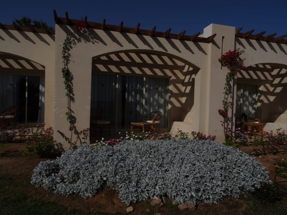 Gartenanlage Parrotel Beach Resort