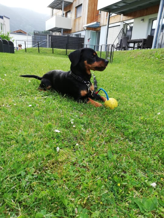 Sonstiges Hotel Kirchenwirt