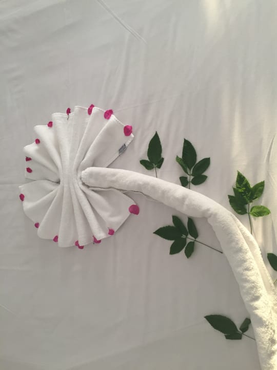 Eines der vielen Handtuchfiguren (jeden Tag was anderes) Desert Rose