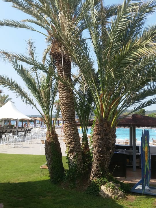 Blick in die Anlage  Club Marco Polo