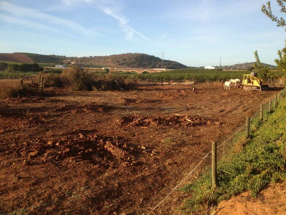 Sonstiges Guesthouse Quinta do Rio Country Inn