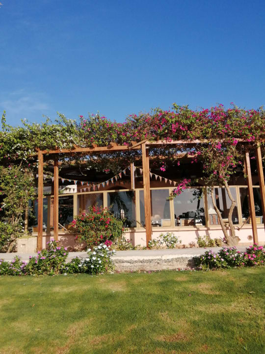 Gastro Sultan Bey Hotel, El Gouna