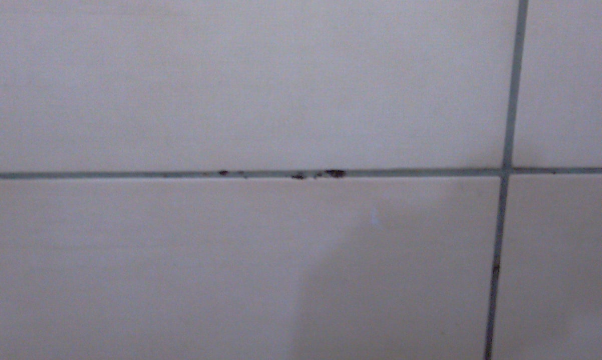 Schimmel an den Fliesen des Bades Prestige Alanya