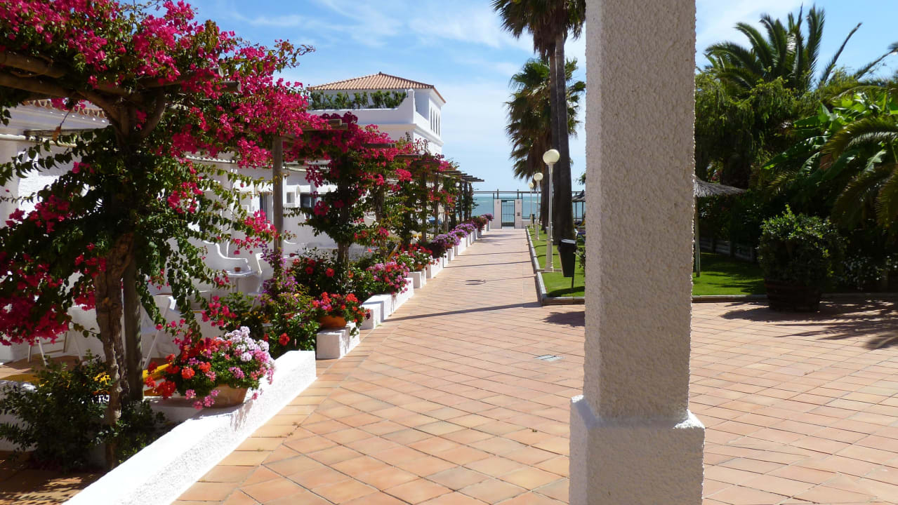 Der erste Garten nach der Rezeption  Hotel Playa de la Luz
