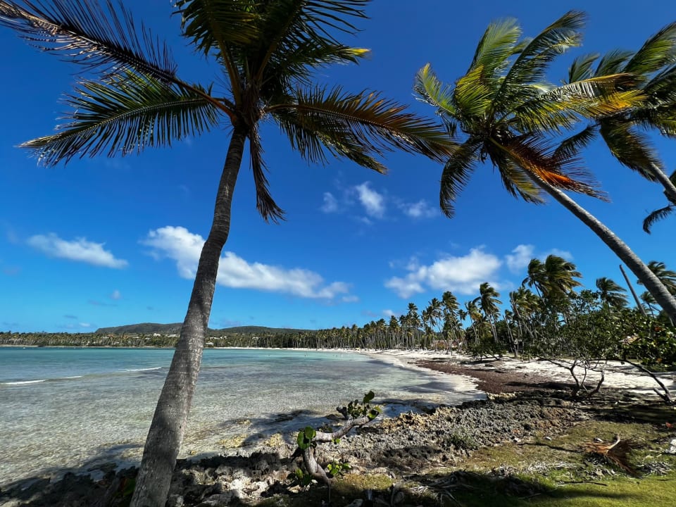 Strand Wyndham Alltra Samana