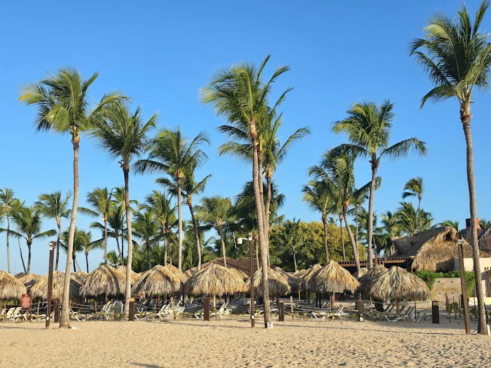 Strand Dreams Dominicus La Romana