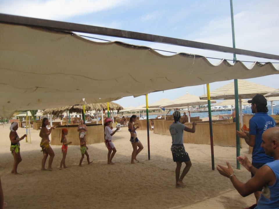 Belly dance Menaville Safaga