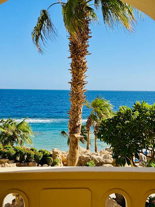 Ausblick Pickalbatros Citadel Resort