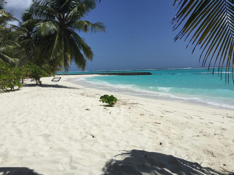 Traum Summer Island Maldives
