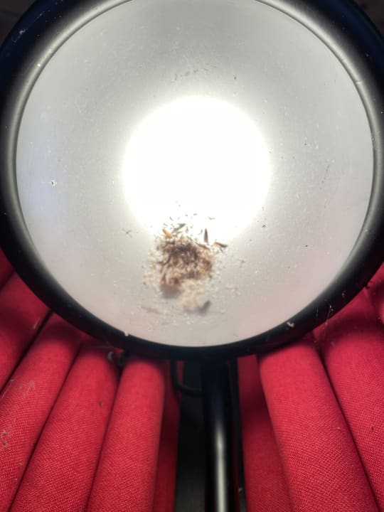 Gastro DORMERO Hotel Düsseldorf