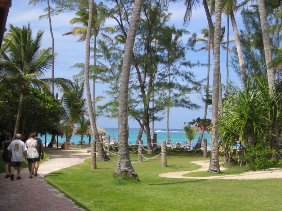 Blick vom Pool zum Strand ( Punta Cana) Grand Palladium Punta Cana Resort & Spa
