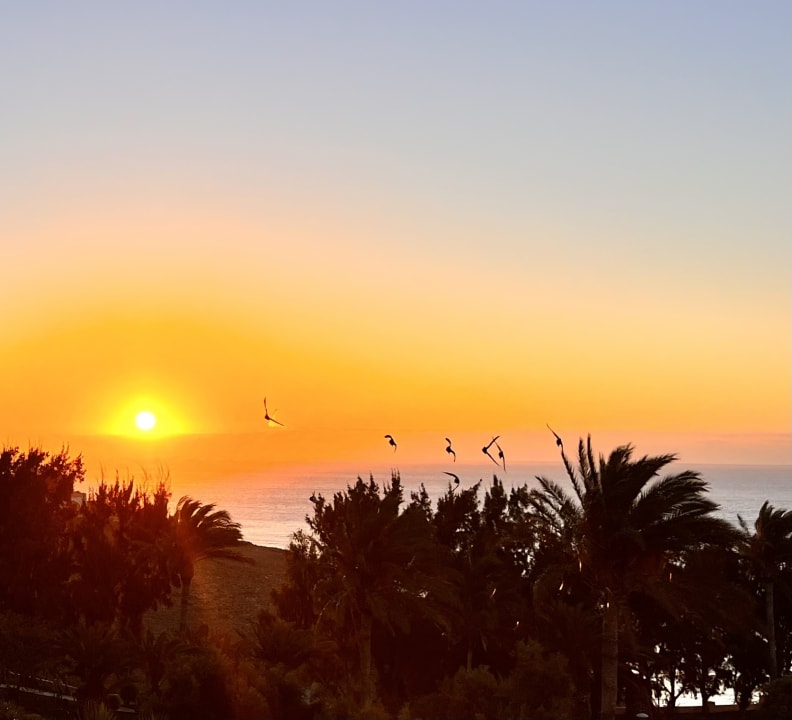 Ausblick SBH Club Paraiso Playa