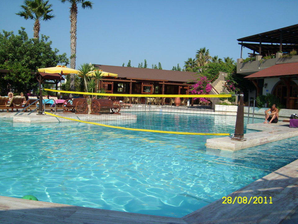 Pool mit Wasserballnetz Gaia Garden Hotel