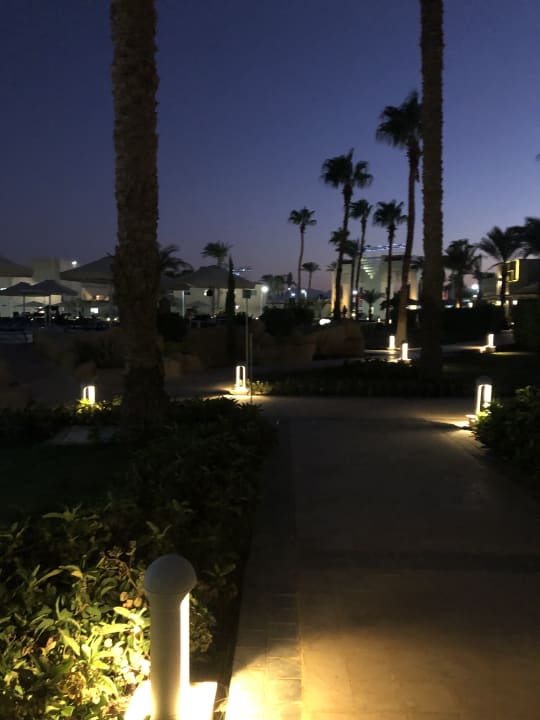Gartenanlage Beach Albatros Resort