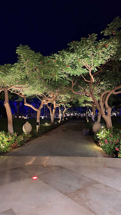 Gartenanlage Steigenberger ALDAU Beach Hotel