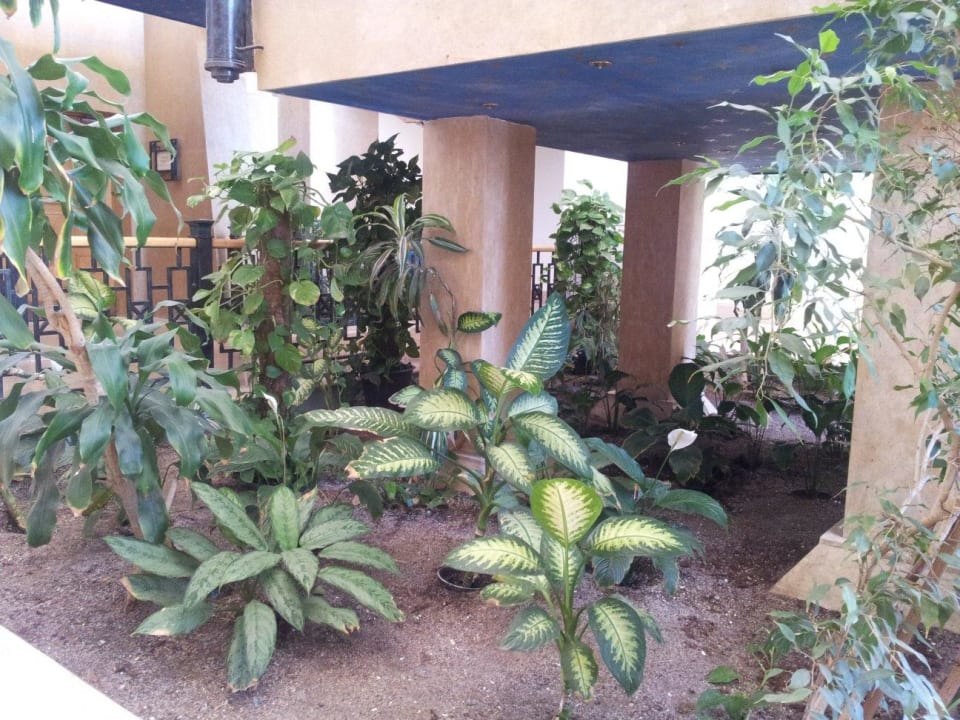 Unter der Treppe... Hotel Sheraton Soma Bay Resort