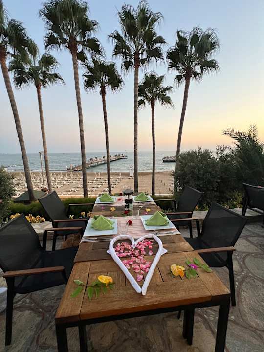 Gastro Arum Barut Collection