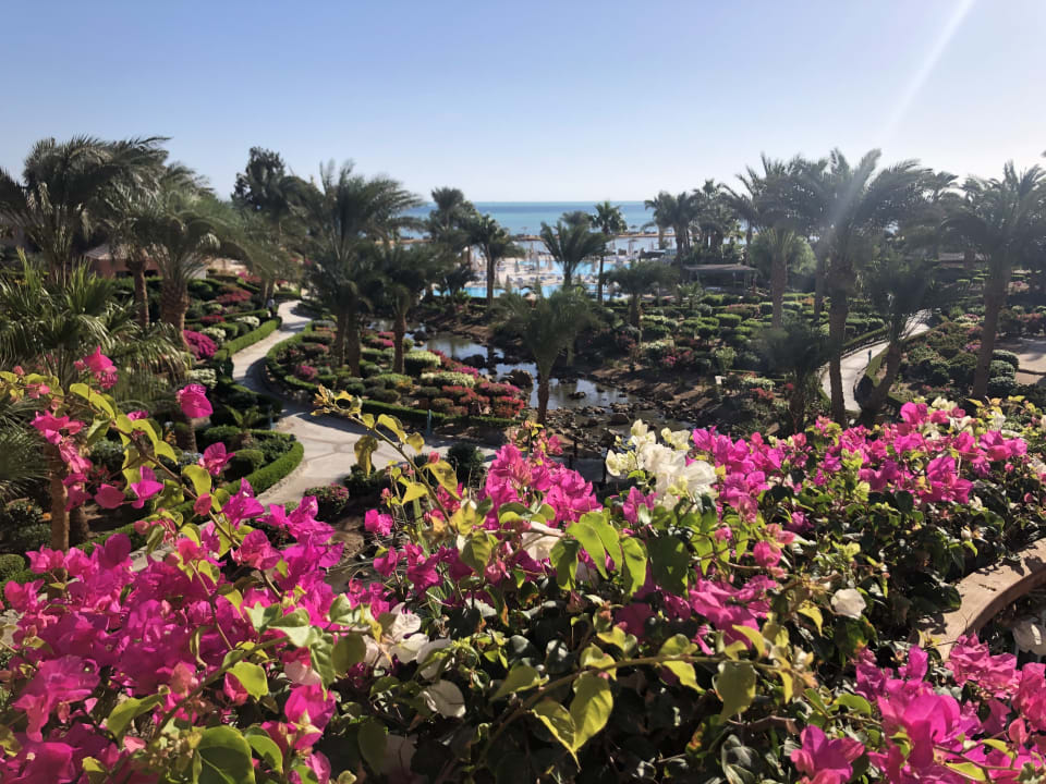 Ausblick Mövenpick Resort & Spa El Gouna